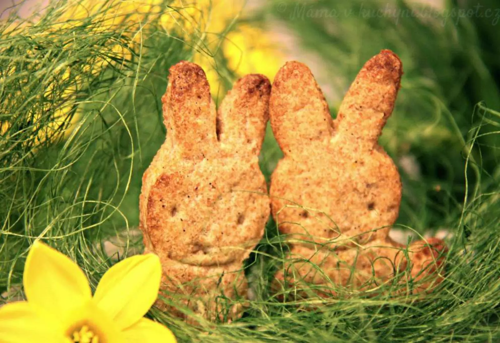 Zajíčkovy sušenky s vůní lékořice (od 9 měsíců)